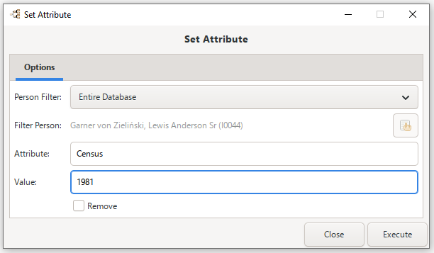 SetAttributeTool-addon-Options-tab-example-60.png