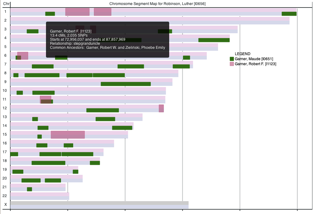 Addon-DNA-SegmentMap-with-Tooltip2-51.png