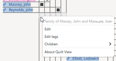 Quilt View - Family context menu